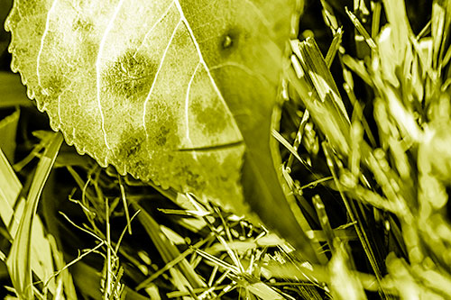 Eye Winking Shadow Smirking Leaf Face (Yellow Shade)