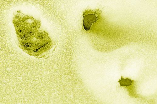 Footprint Eye Snow Face Atop Rock Surface (Yellow Shade)