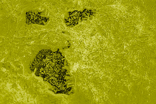 Frozen Ice Screaming Pebble Soil Face (Yellow Shade Photo)