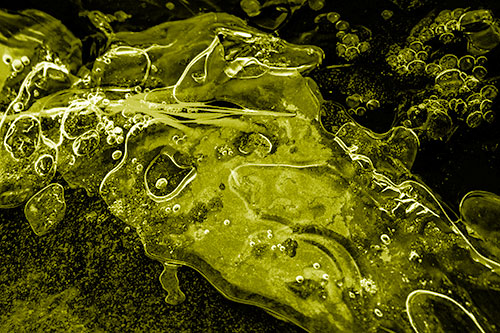 Frozen Shapeshifting Pupil Bubble Eyed Ice Face (Yellow Shade)