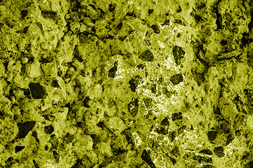 Fungi Covers Rugged Surfaced Stone (Yellow Shade Photo)