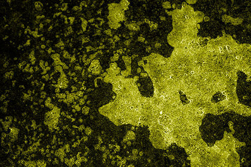 Furious Screaming Ice Face Melting Among Pavement (Yellow Shade)