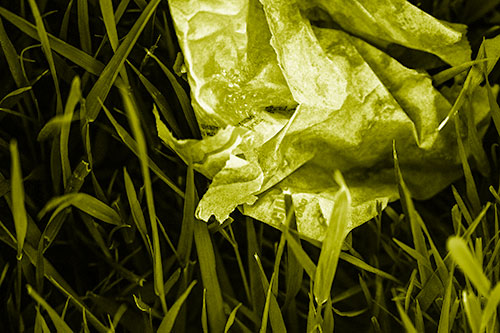 Grease Stained Demon Faced Taco Bell Wrapper (Yellow Shade)