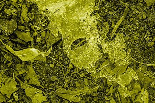 Half Melted Ice Face Atop Dead Leaves (Yellow Shade)