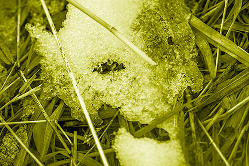 Half Melted Ice Face Smirking Among Reed Grass (Yellow Shade Photo)
