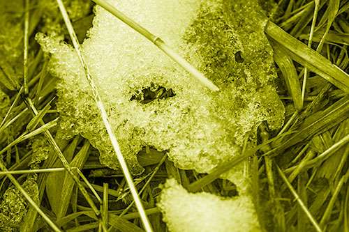 Half Melted Ice Face Smirking Among Reed Grass (Yellow Shade)