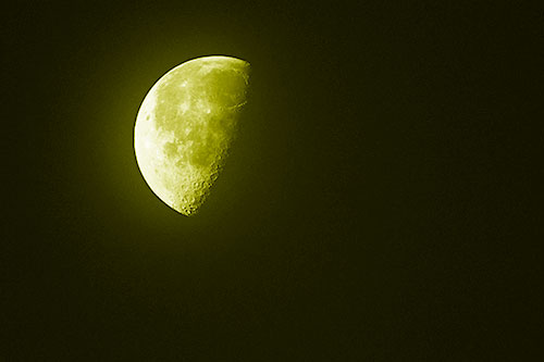 Half Moon Shining Bright (Yellow Shade Photo)