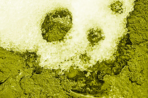 Ice Skull Snow Face Melting Atop Rock (Yellow Shade)