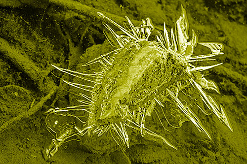 Jagged Spiked Ice Surrounds Water Submerged Rock (Yellow Shade Photo)