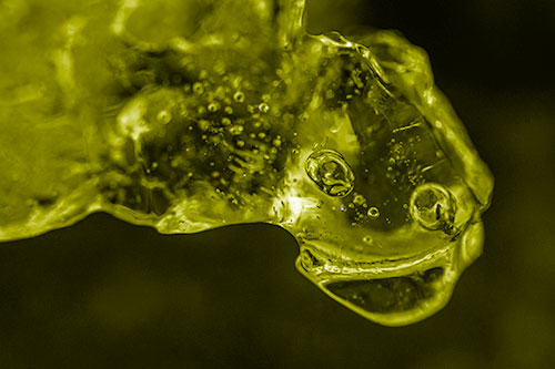 Joyful Frozen Bubble Eyed River Ice Face Creature (Yellow Shade Photo)