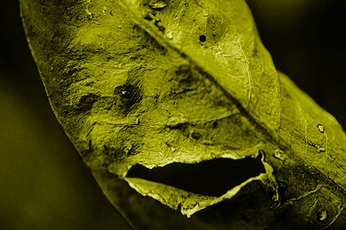 Lacerated Mouth Leaf Face Smirking Among Decay (Yellow Shade)