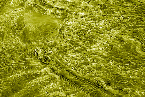 Large Algae Rock Creating River Water Ripples (Yellow Shade Photo)
