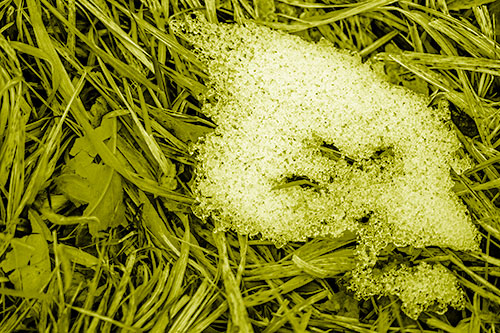 Miserable Slanted Grass Eyed Snow Face (Yellow Shade)