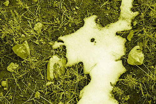Peering Humanoid Snow Face Creature Among Rocks (Yellow Shade)
