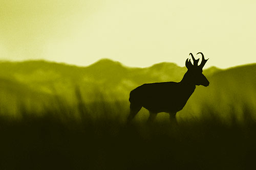 Pronghorn Silhouette Across Mountain Range (Yellow Shade Photo)