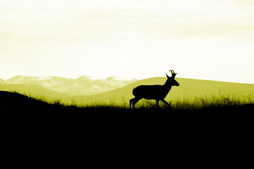Pronghorn Silhouette On The Prowl (Yellow Shade)