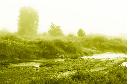 River Flowing Along Foggy Vegetation (Yellow Shade Photo)