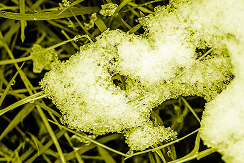 Sad Melting Grass Tangled Snow Face (Yellow Shade)