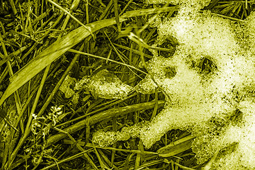 Sad Mouth Melting Ice Face Creature Among Soggy Grass (Yellow Shade Photo)