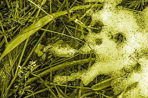 Sad Mouth Melting Ice Face Creature Among Soggy Grass (Yellow Shade)