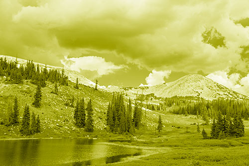 Scattered Trees Along Mountainside (Yellow Shade Photo)