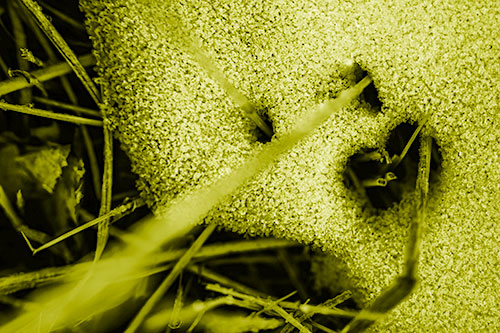 Screaming Illuminated Grass Piercing Snow Face (Yellow Shade)