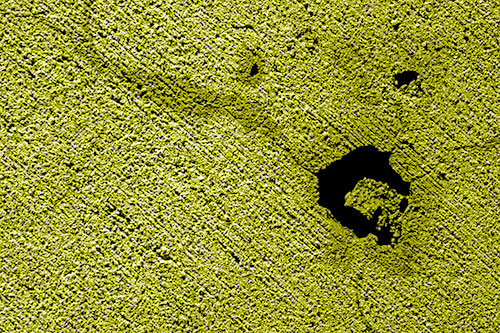 Screaming Wet Asphalt Face Cracking Apart (Yellow Shade)