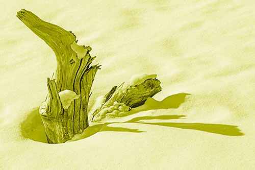 Shadow Casting Tree Trunk Waving Among Snow (Yellow Shade)