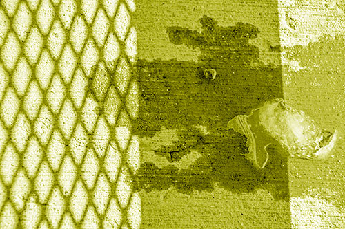 Shadow Obstructs Slobbery Pooch Faced Puddle (Yellow Shade Photo)