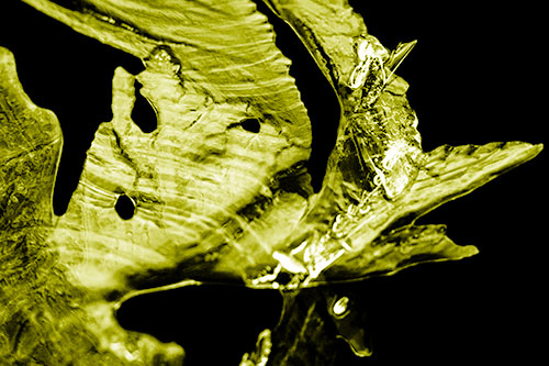 Shocked Jagged Curving Ice Face (Yellow Shade)