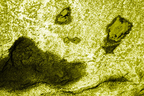 Shocked Puddle Face Drying Among Rock Surface (Yellow Shade)