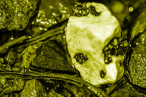 Slimy Extraterrestrial Alien Faced Rock Head (Yellow Shade Photo)