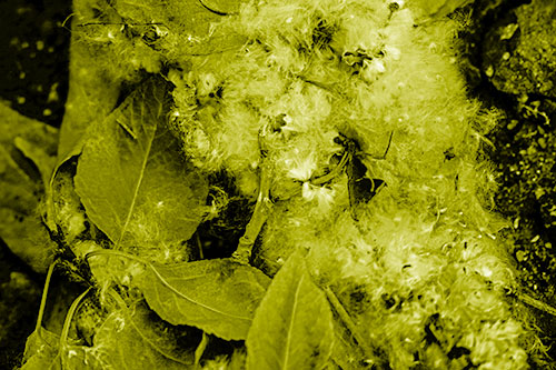 Smiling Cotton Stick Face Among Fallen Leaves (Yellow Shade)