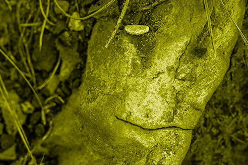 Smirking Battered Rock Face (Yellow Shade Photo)