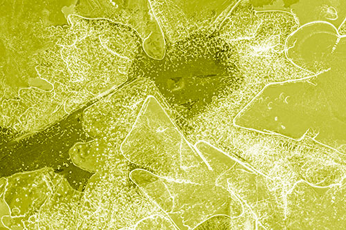 Smug Ice Face Among Frozen River Water (Yellow Shade)