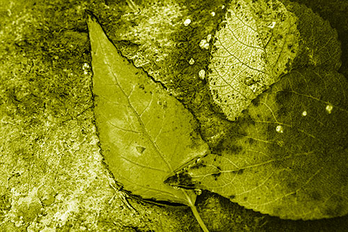 Soggy Cannibal Leaf Face Chewing Another Leaf (Yellow Shade)