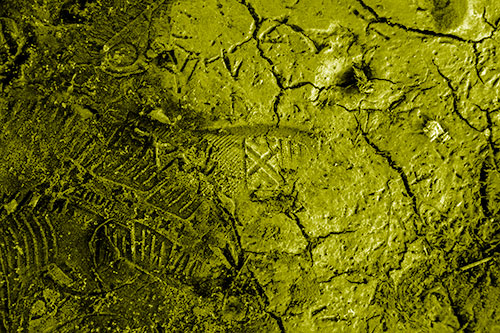 Soggy Cracked Mud Face Smirking (Yellow Shade Photo)