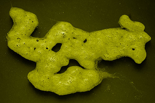 Sorrow Morphing Bubble Face Floating Above Soil (Yellow Shade)