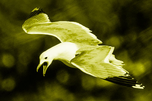 Squealing Seagull Spots Creature Among Lake Below (Yellow Shade)