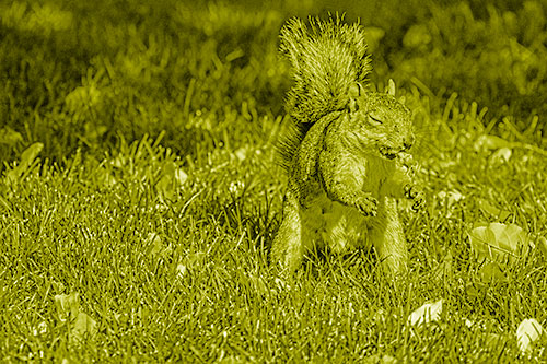 Squirrel Enjoying Breakfast Among Fallen Autumn Leaves (Yellow Shade)