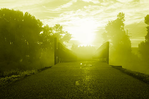 Sun Rises Beyond Foggy Wooden Walkway Bridge (Yellow Shade Photo)