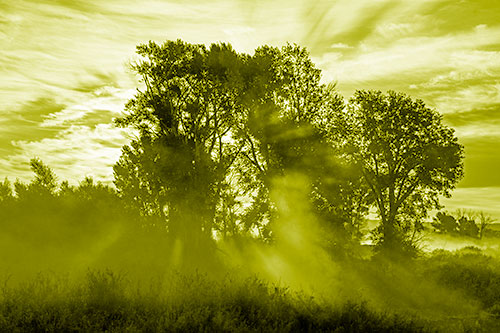 Sunlight Rays Burst Through Fog Surrounded Trees (Yellow Shade)