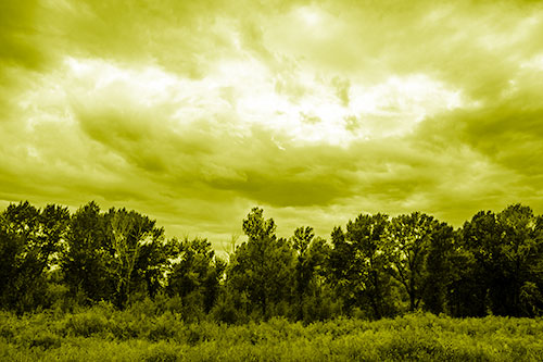 Thunderstorm Clouds Brewing Above Tree Line (Yellow Shade)