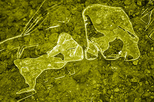 Translucent Frozen Big Eyed Alien Ice Bubble Figure Atop River (Yellow Shade Photo)