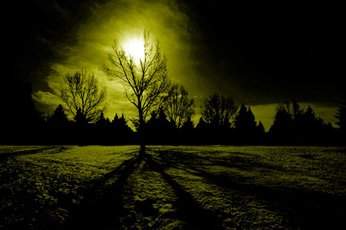 Tree Silhouette Holds Sun Among Darkness (Yellow Shade Photo)
