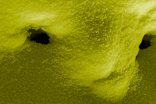 Triangle Powdered Snow Face Atop Soil (Yellow Shade)