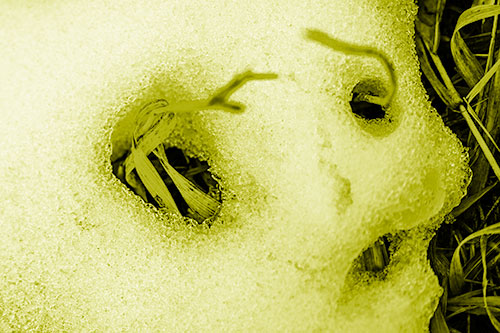 Twisting Grass Eyed Snow Face (Yellow Shade)