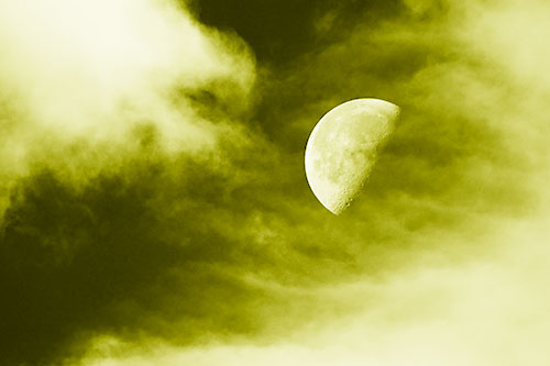 Upside Down Creature Cloud Moon Gazing (Yellow Shade Photo)