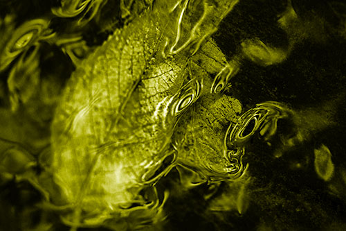 Water Ripple Faced Leaf In Submerged Trance (Yellow Shade)