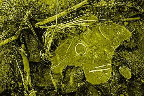 Wide Eyed Bubble Ice Face Looking Downward (Yellow Shade)